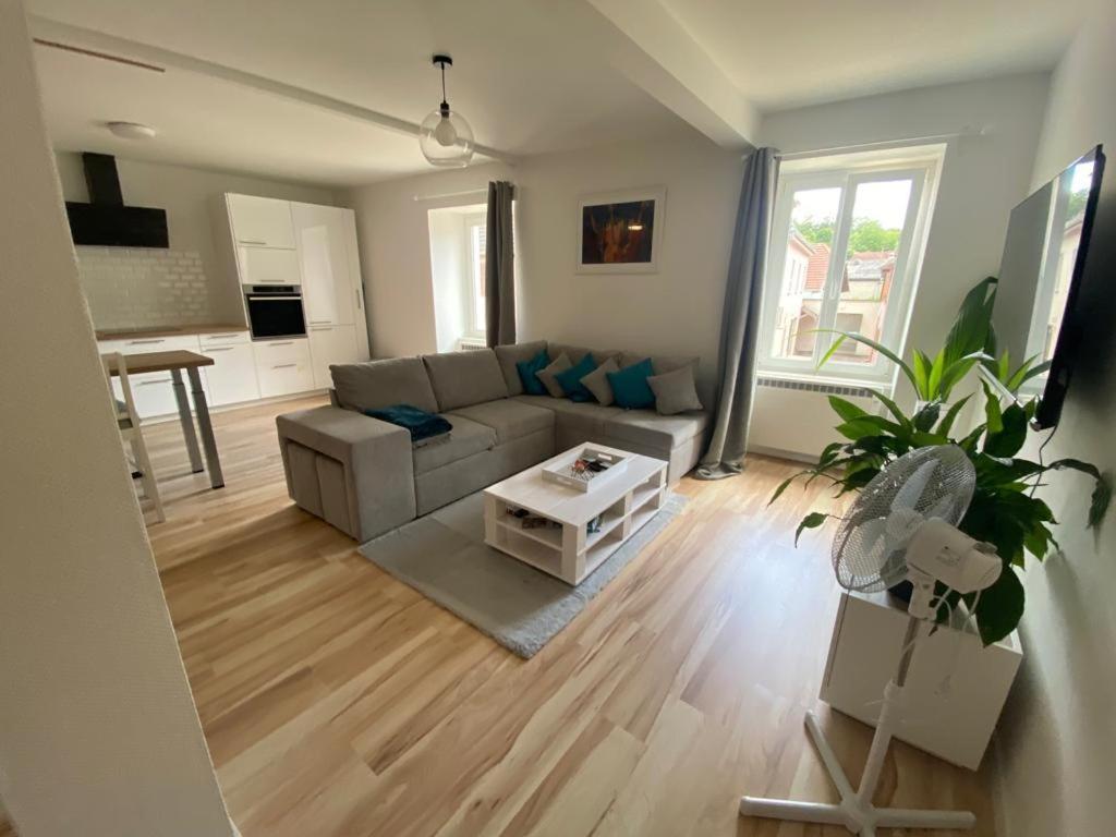 Appartement Centre Ville Rixheim Luaran gambar